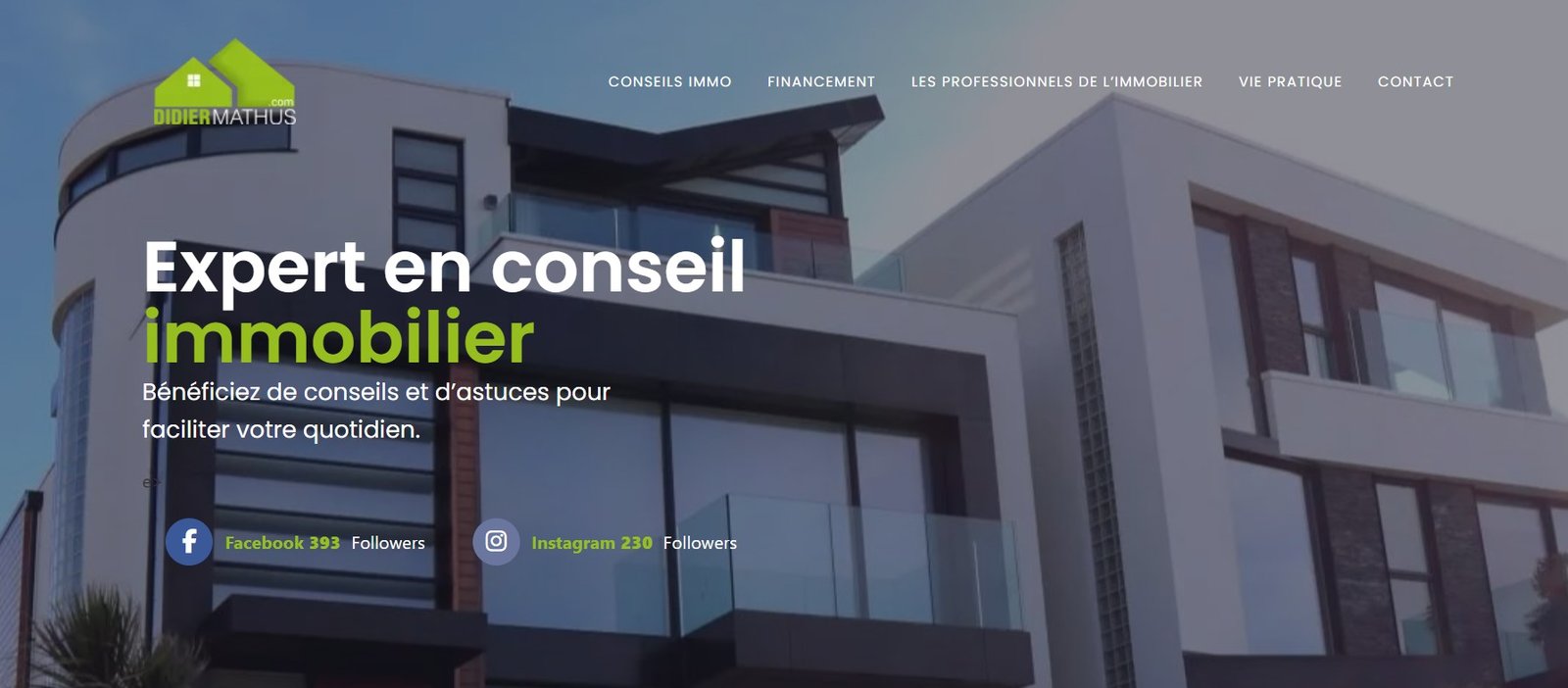 Didier Mathus-Immobilier