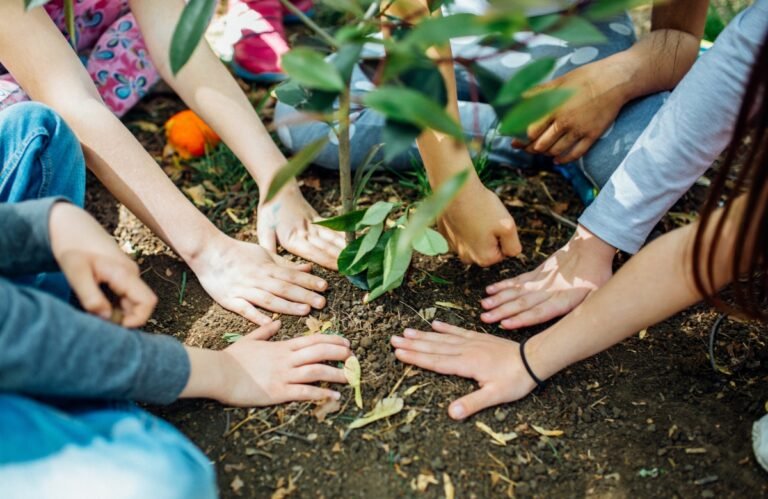 Quiz de la journée de la terre google
