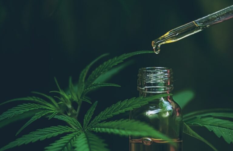 huile cbd hollyweed